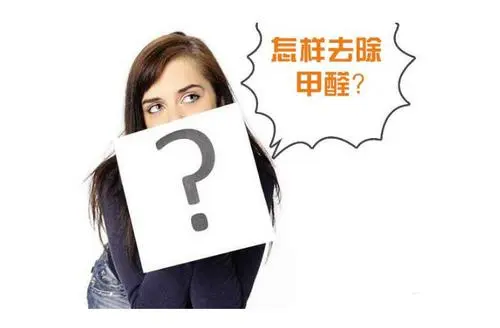 ④　專業(yè)除甲醛公司的經(jīng)營情況怎么樣？收費如何？